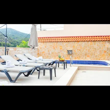 Ante 1 * フヴァル