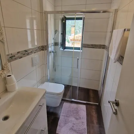 Ante 1 * フヴァル