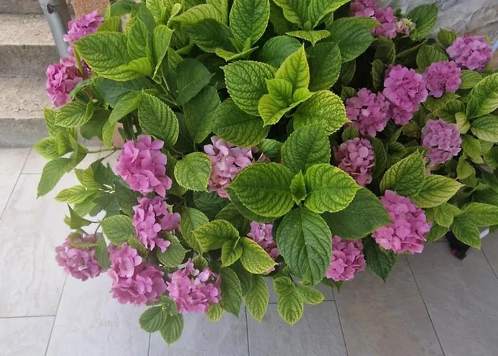 דירה Ante 1 חוואר